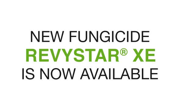 New fungicide revystar xe is now available
