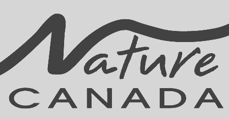 Nature_Canada_Logo_-_grey.png
