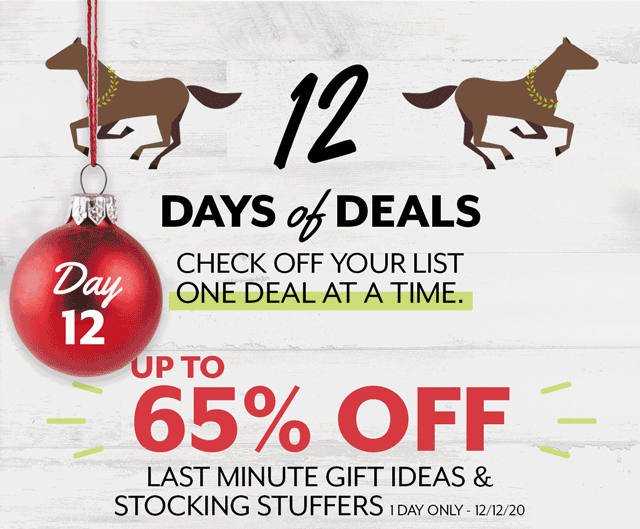 12 Days of Deals. Day 12 - Up to 65% off Last Minute Gift Ideas.