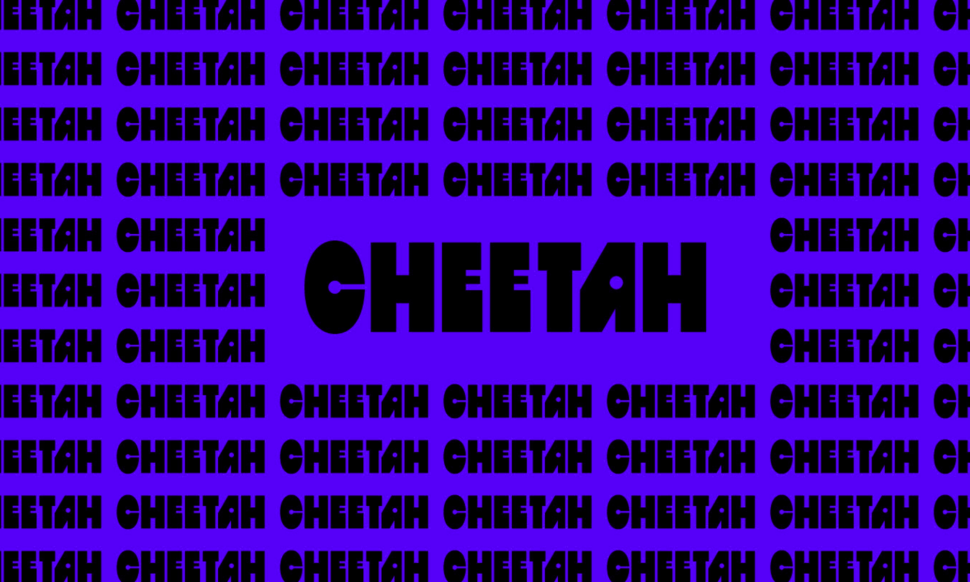 Cheetah repeated