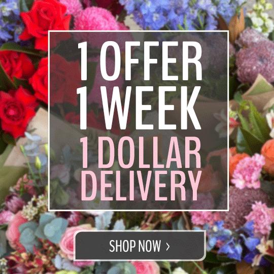 1 offer, 1 week, 1 dollar delivery. Shop now >