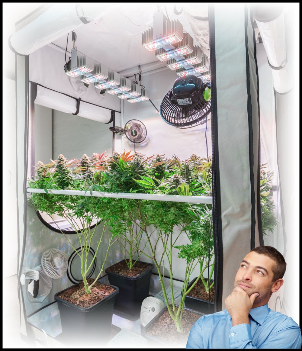 GROW TENT FOR WEED