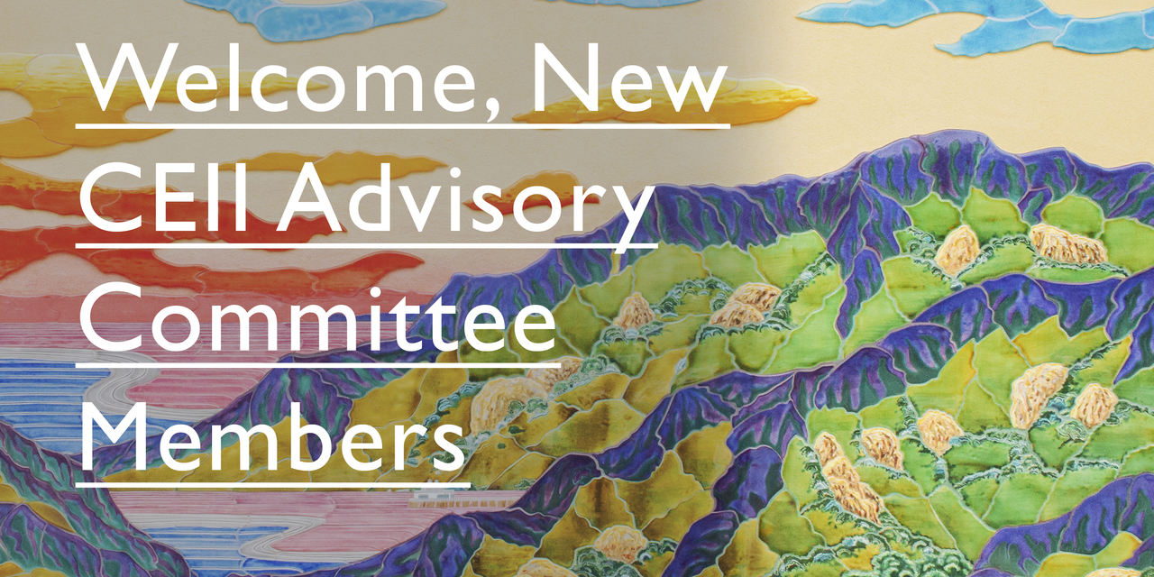Welcome New Members of the CEII Advisory Committee