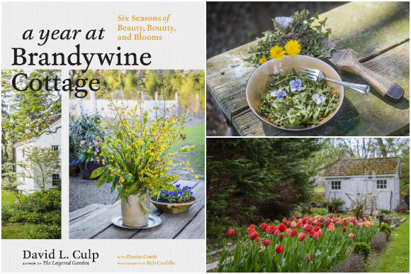 A Year at Brandywine Cottage book and pictures