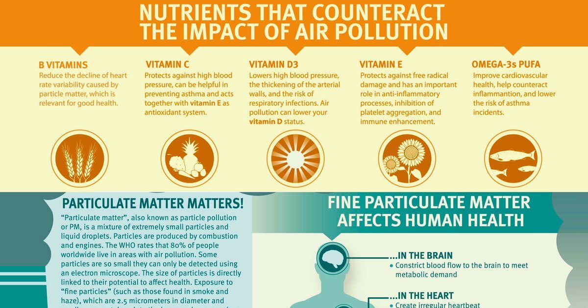 Vitamin B Supplements Counteract Harmful Effects Of Air Pollution