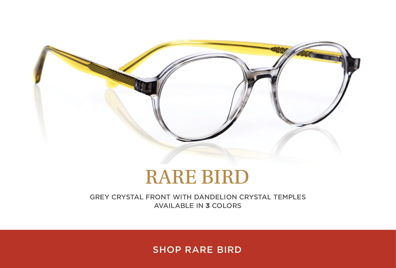 Shop Rare Bird