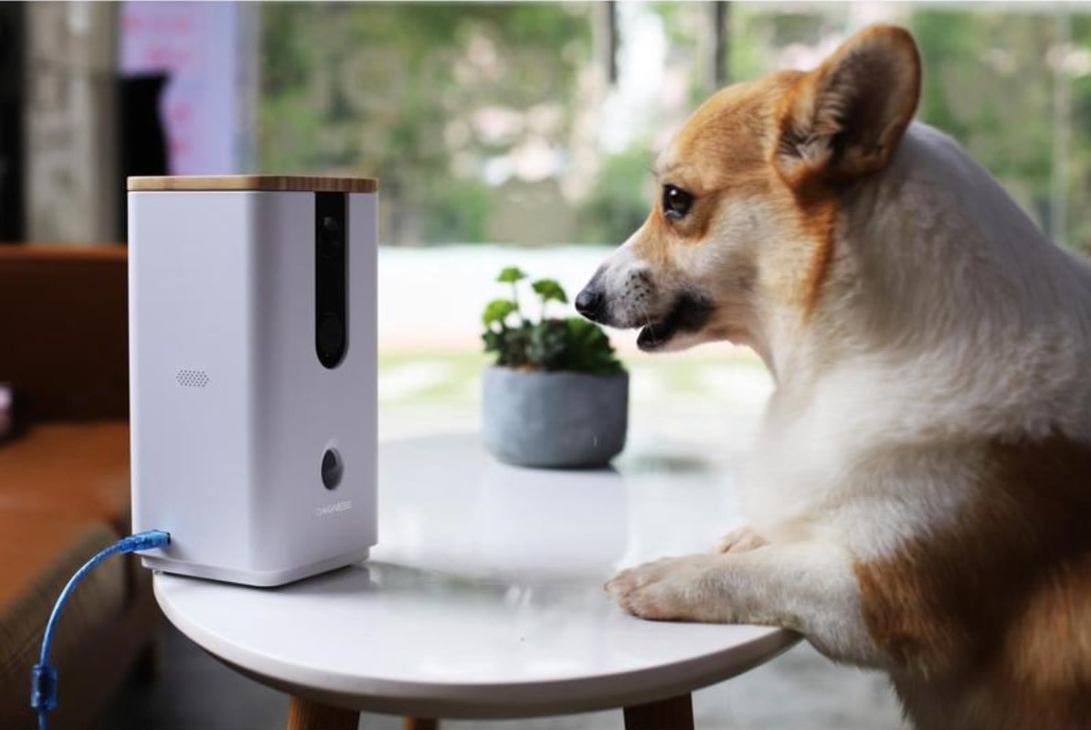 Have a Smart Home? Now Pet Tech can give you a Smart Pet