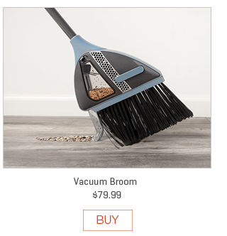 Vacuum Broom