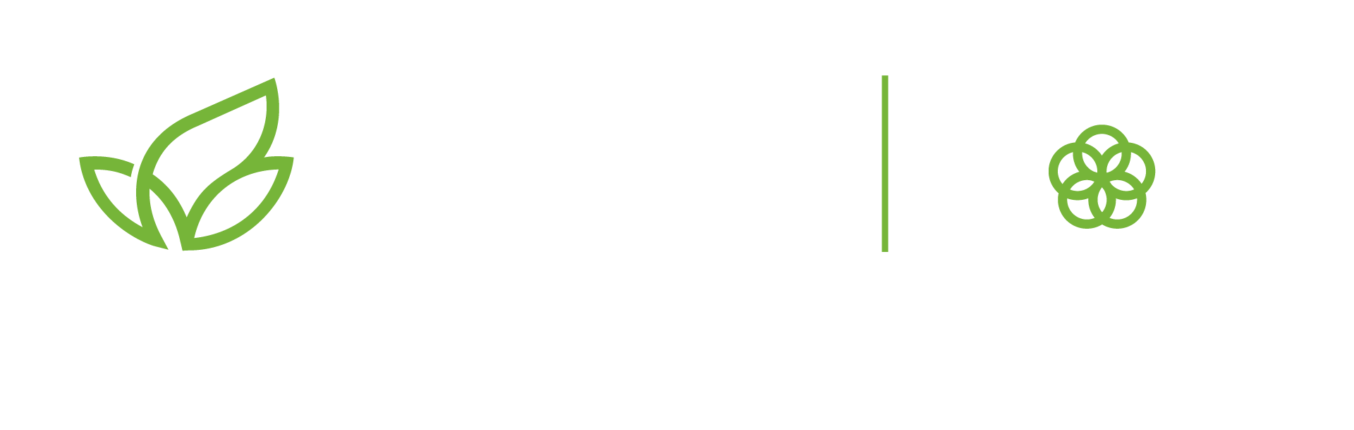 Logo Imaflora