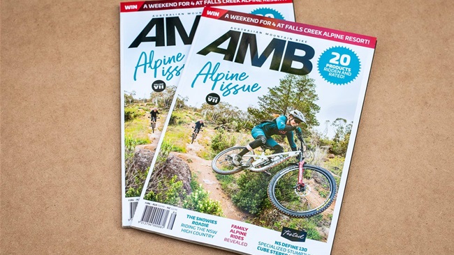 In this Issue - AMB #186