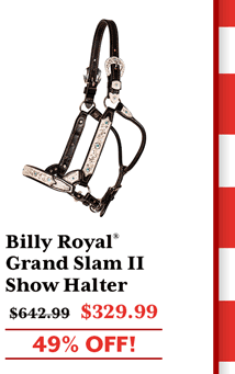 Billy Royal? Grand Slam II Classic Show Halter