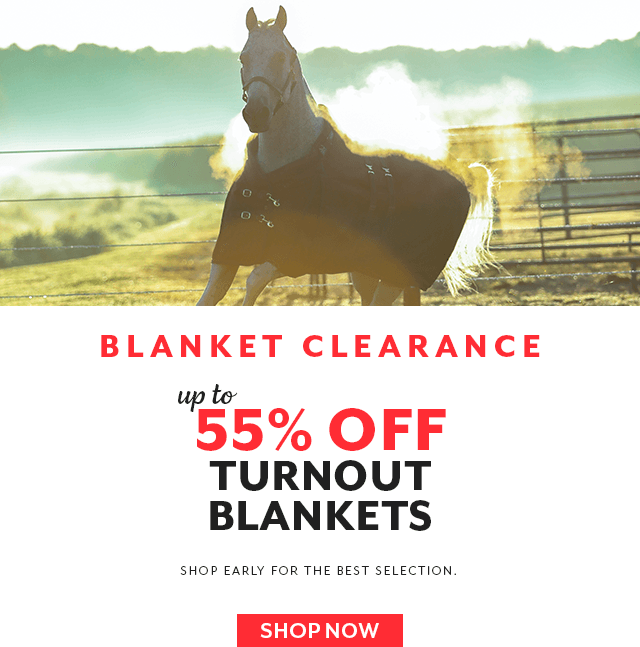 Plus shop our blanket clearance!