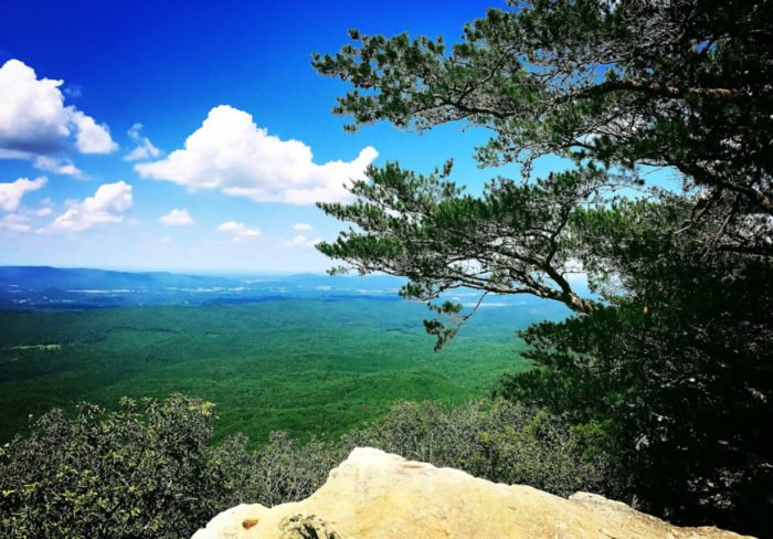 Take An Unforgettable Drive To The Top Of Alabama''s Highest Point