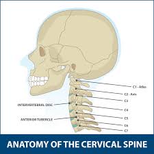 Muscle Pain after Cervical Fusion Surgery: 9  Major Causes