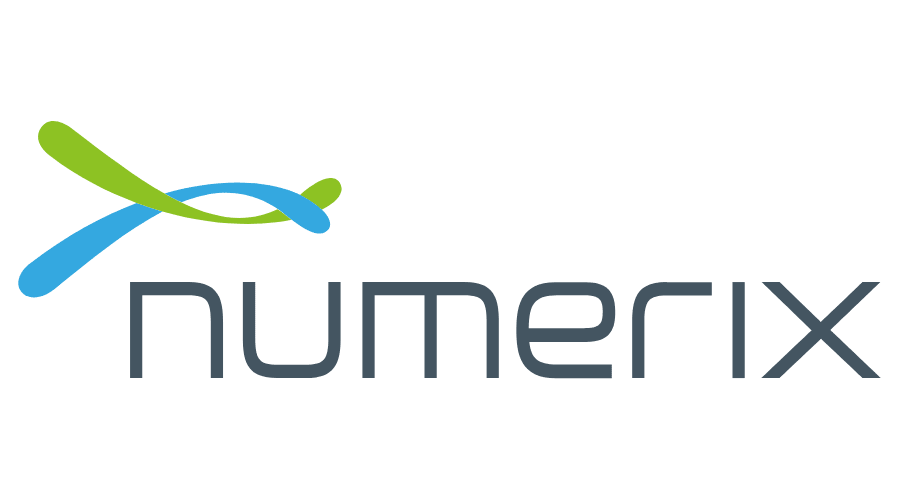 numerix-vector-logo