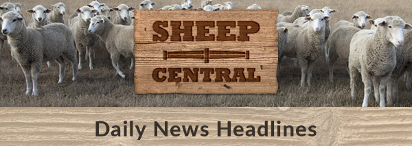 Sheep Central News Headlines