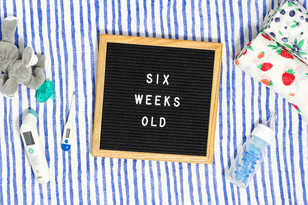 6 Week Old Baby Parenting Newsletter Photo