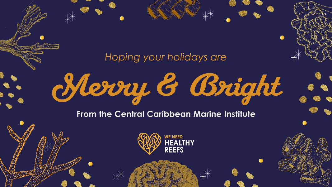 Hoping your holidays are Merry & Bright! From CCMI