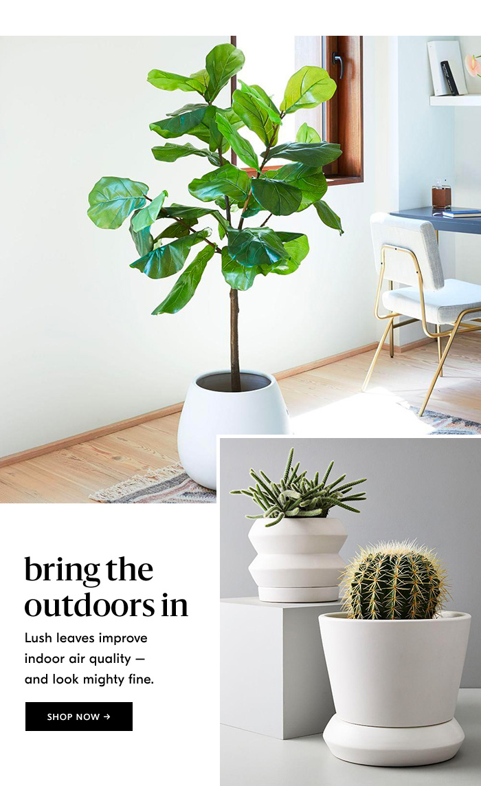 bring the outdoors in SHOP NOW