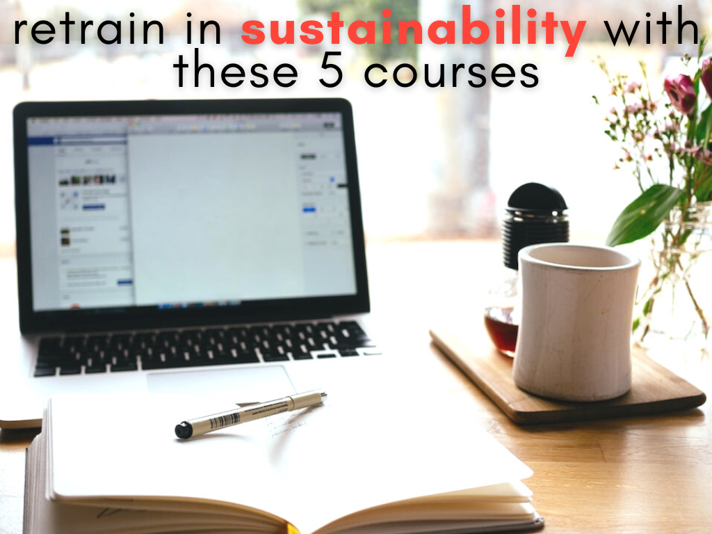 5 Online Courses To Retrain In Sustainability From Plant-Based Nutrition To Circular Economics