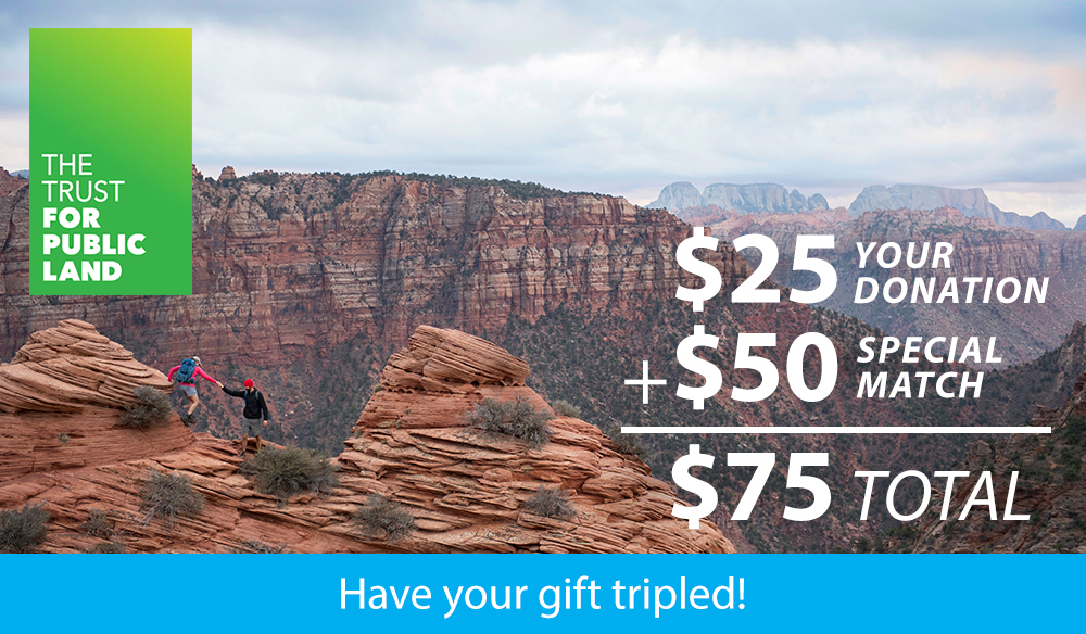 Have your  gift tripled!