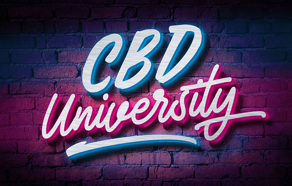 CBD University Podcast  School is back in session 