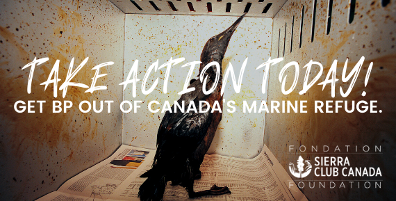Take Action - Get BP out of Canada''s Marine Refuge