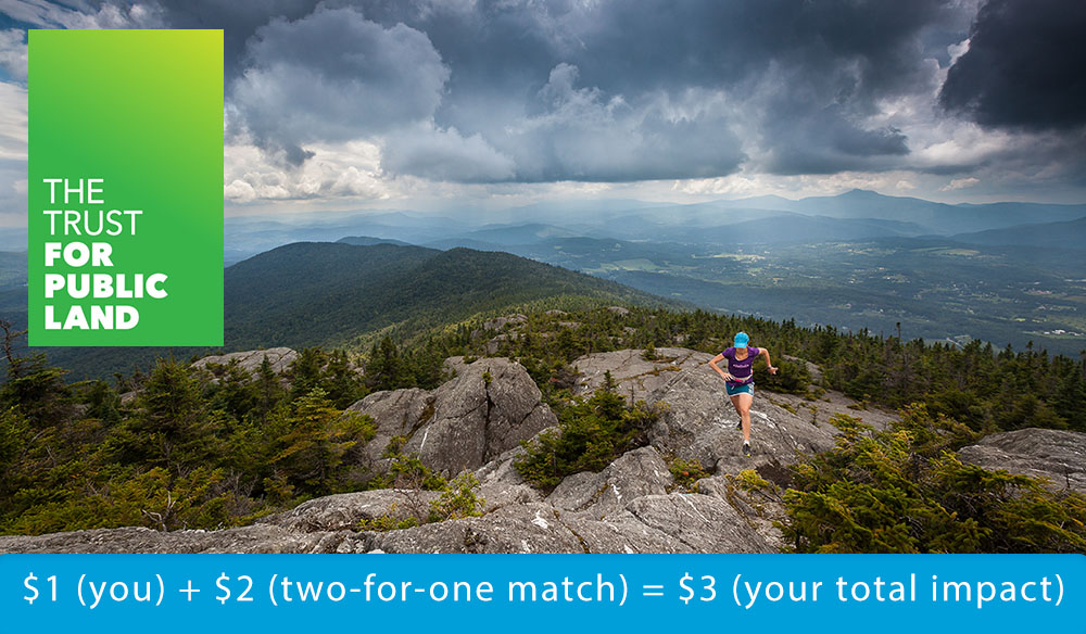 $1 (you) + $2 (two-for-one match) = $3 (your total impact)