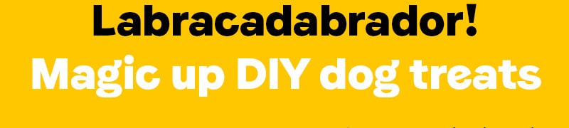 Labracadabrador!
Magic up DIY dog treats