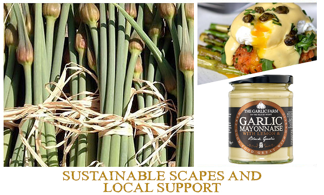 https://www.thegarlicfarm.co.uk/product/elephant-garlic-scapes?utm_source=Email_Newsletter&utm_medium=Retail&utm_campaign=CV_May20_4