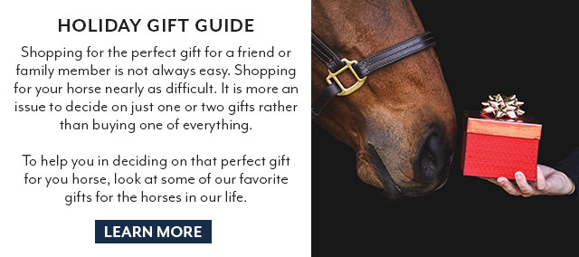 Holiday Gift Guide for Your Horse