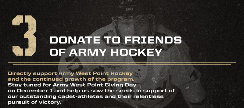 Donate to Friends of Hockey
