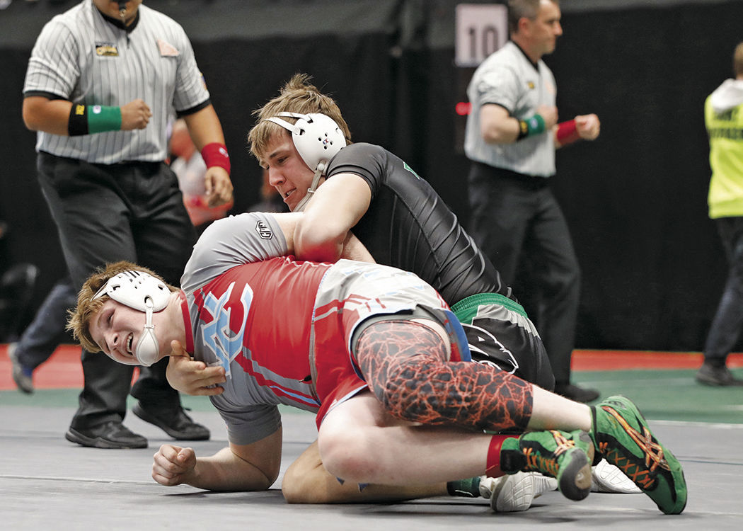 Disappointment ends 'roller-coaster' season for Panthers wrestlers