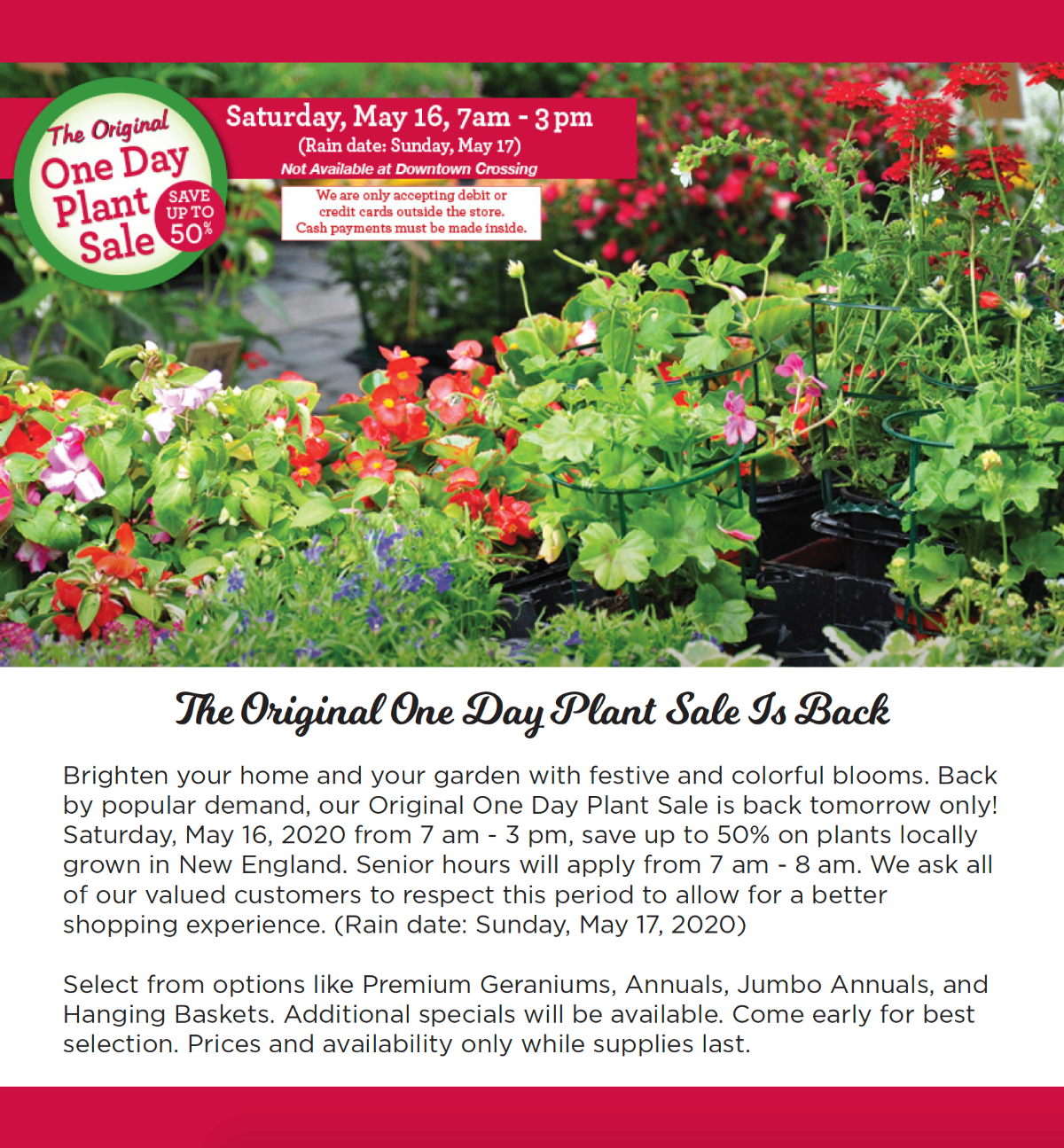 The Original One Day Plant Sale Is Back. Brighten your home and your garden with festive and colorful blooms. Back by popular demand, our Original One Day Plant Sale is back tomorrow only! Saturday, May 16, 2020 from 7 am - 3 pm, save up to 50% on plants locally grown in New England. Senior hours will apply from 7 am - 8 am. We ask all of our valued customers to respect this period to allow for a better shopping experience. (Rain date: Sunday, May 17, 2020)  Select from options like Premium Geraniums, Annuals, Jumbo Annuals, and Hanging Baskets. Additional specials will be available. Come early for best  selection. Prices and availability only while supplies last.