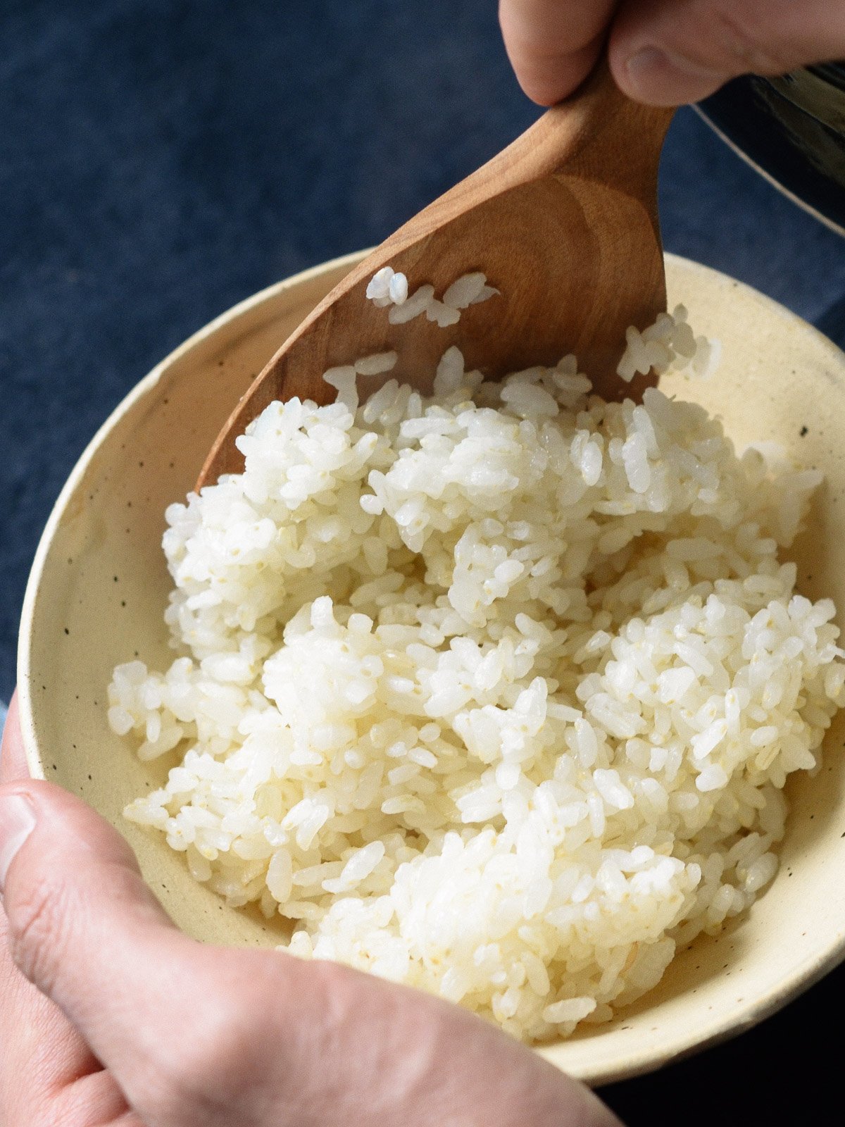 Gohan : A Rice Workshop