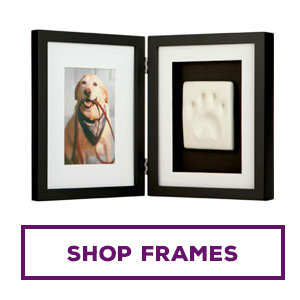Shop Frames