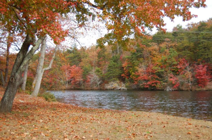 8 Reasons Why DeSoto State Park Is Alabama''s Ideal Getaway Destination For Fall