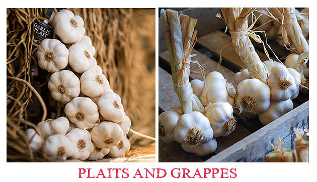 https://www.thegarlicfarm.co.uk/buy/garlic-for-eating?utm_source=Email_Newsletter&utm_medium=Retail&utm_campaign=Consumption_Feb20_2