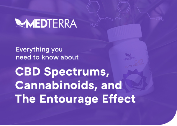 Everything you need to know about CBD Spectrums, Cannabinoids, and The Entourage Effect.
