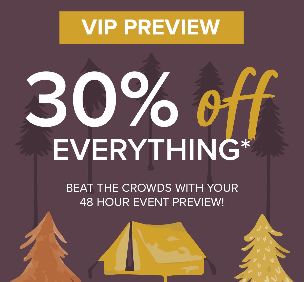 Your 48 hour VIP preview - 30 off everything* 
