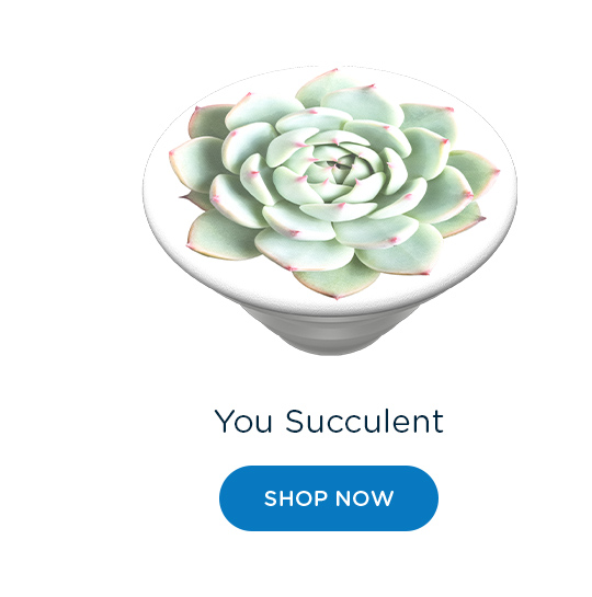 Shop You Succulent