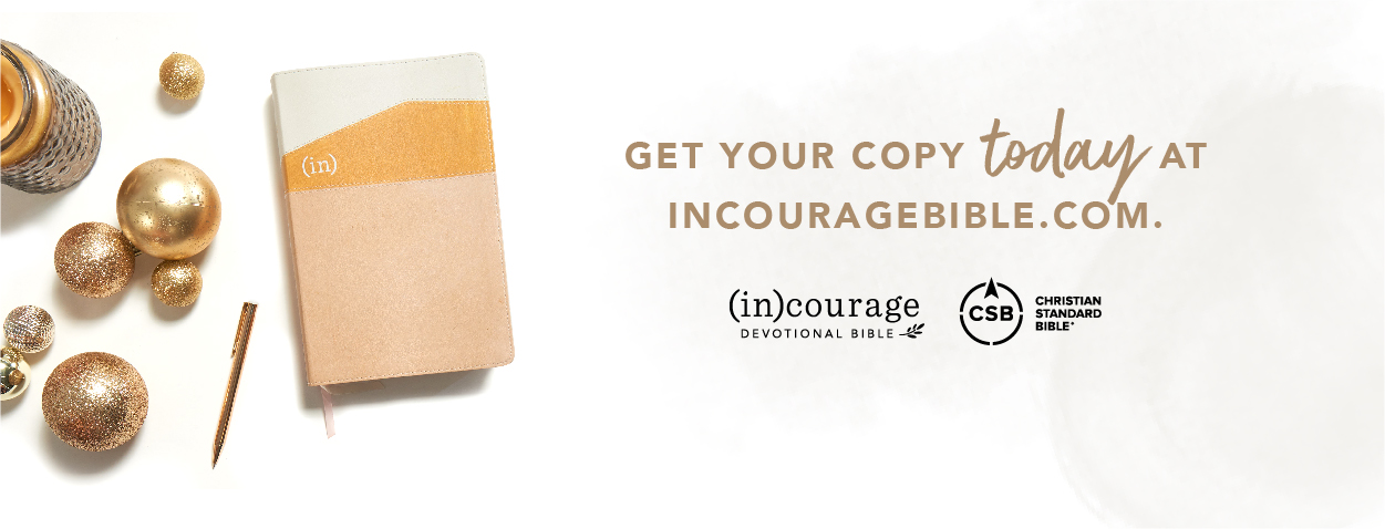 Get Your Copy Today At INCOURAGEBIBLE.COM
