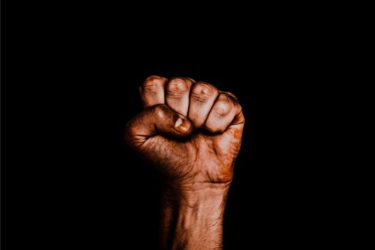 Clenched brown fist against a black backdrop, the universal Black Power symbol