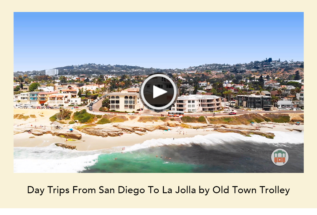 Trolley Tours San Diego Video