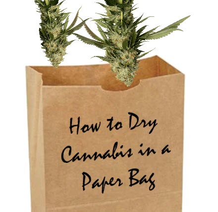 DRYING CANNABIS IN A BROWN BAG