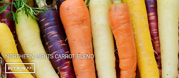Click here to buy Northern Lights Carrot Blend