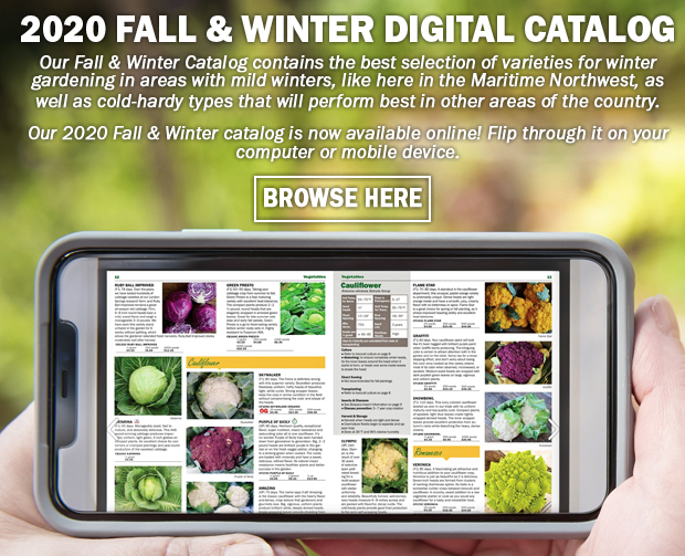 Our Fall & Winter Catalog contains the best selection of varieties for winter gardening in areas with mild winters, like here in the Maritime Northwest, as well as cold-hardy types that will perform best in other areas of the country.  Our 2020 Fall & Winter catalog is now available online! Flip through it on your computer or mobile device.