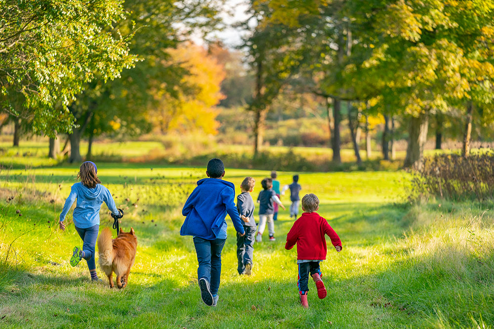 Kids run away from the camera in an autumn field