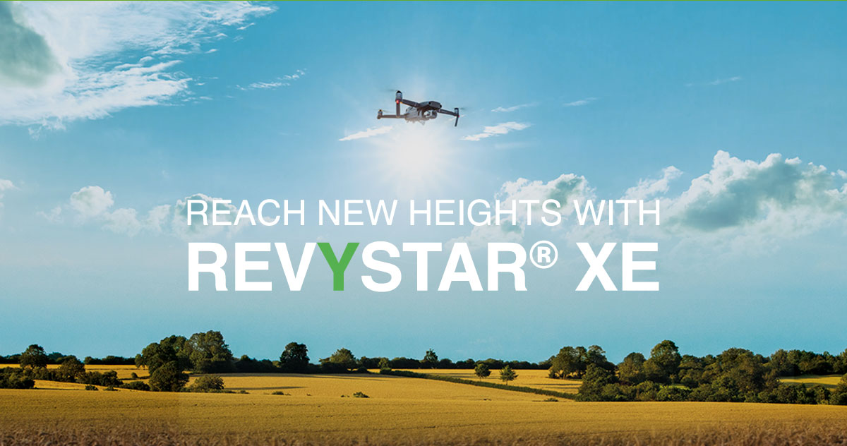 Reach new heights with Revystar? XE