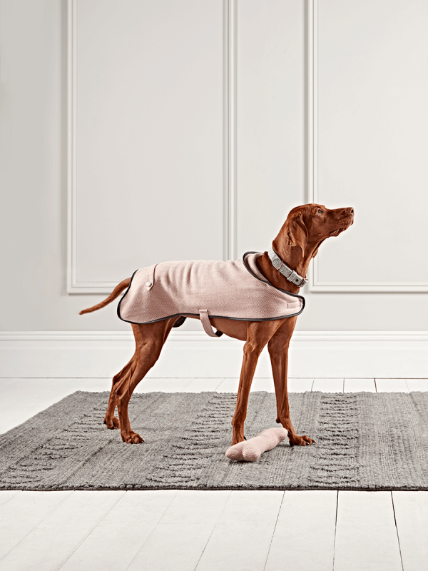 Blush Herringbone Wool Dog Coat